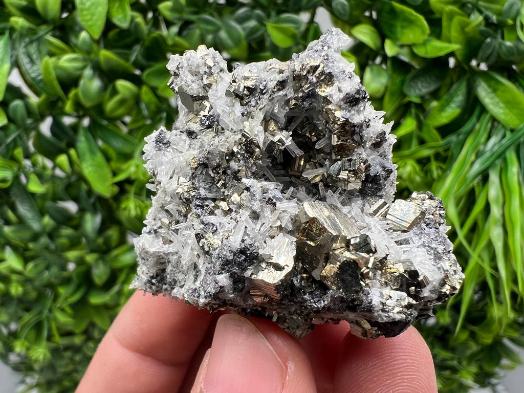 Pyrite on Green Quartz Mineral Specimen, Borieva Mine Bulgaria