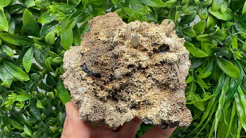 Wonderful and Rare Calcite on Matrix,from 9th September mine,Bulgaria,natural minerals souvenir,gift,home decor,collection Calcite cluster