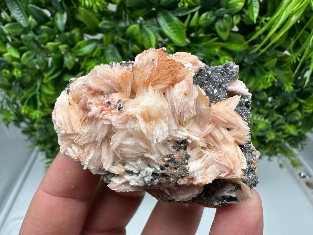Wonderful Baryte with Cerussite on Galena from Morocco,Crystal, Mineral,Specimen,Cluster,Crystals,Barite Crystal,Cerussite Crystal,Specimen