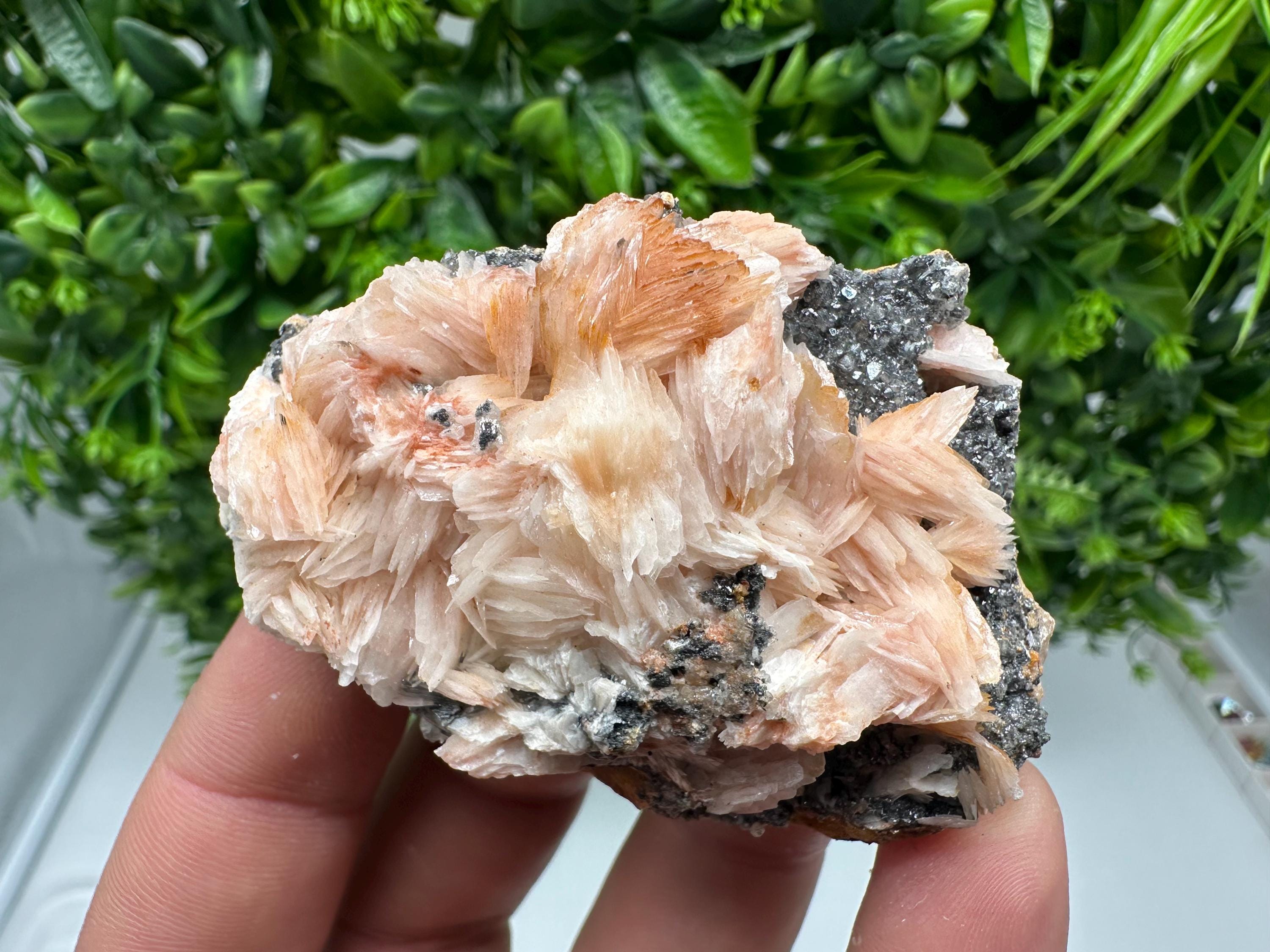 Wonderful Baryte with Cerussite on Galena from Morocco,Crystal, Mineral,Specimen,Cluster,Crystals,Barite Crystal,Cerussite Crystal,Specimen