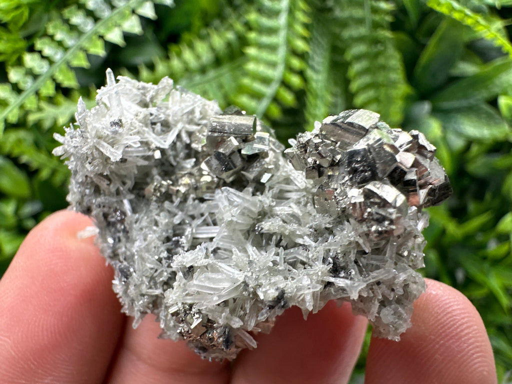 Pyrite on Green Quartz, Borieva Mine Mineral Specimen