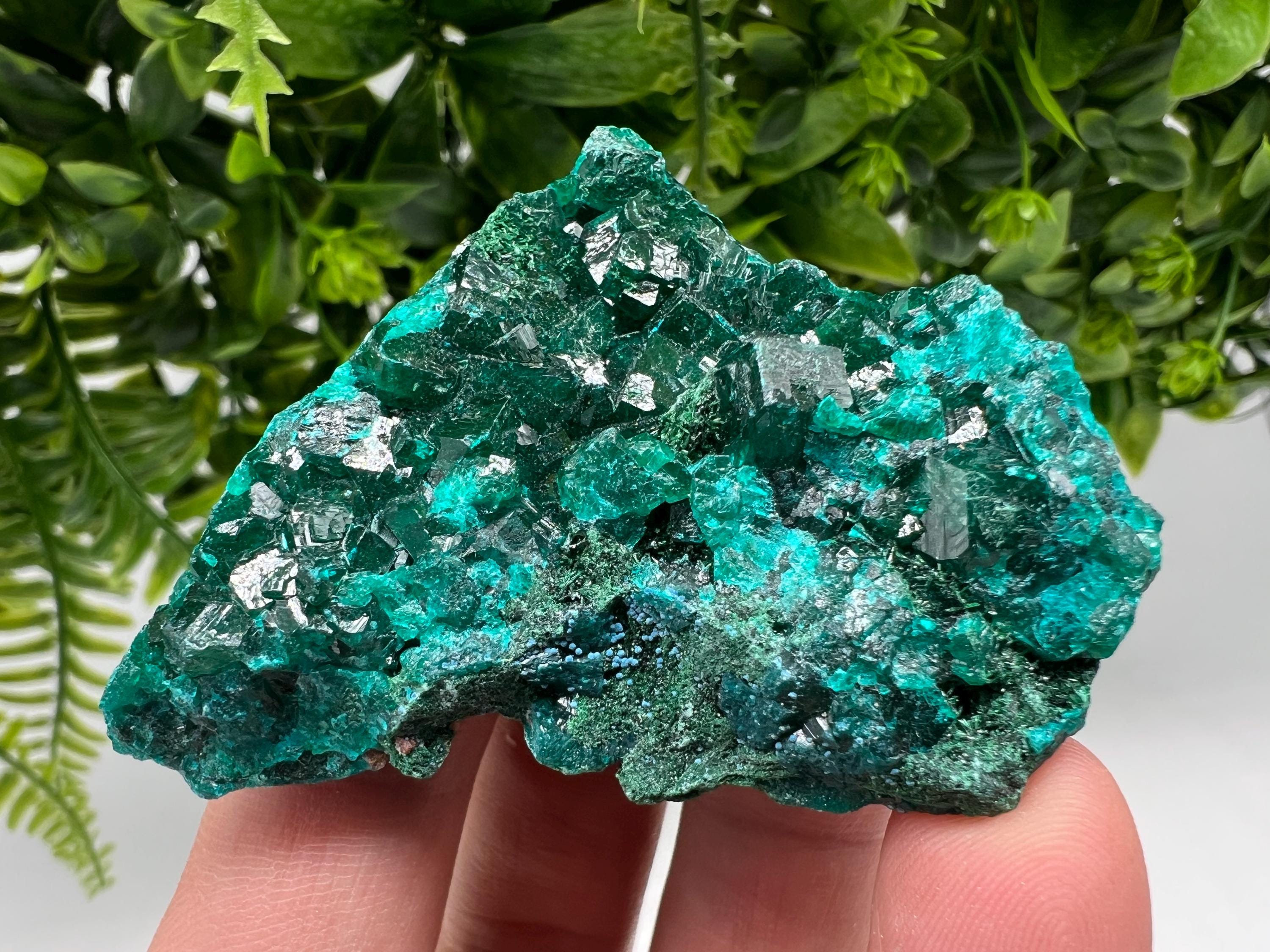 Stunning Green Dioptase from Sanda Hills,Mindouli,Pool Department,Mindouli District,Congo,green Dioptase,Dioptas Crystal,Dioptase collecting