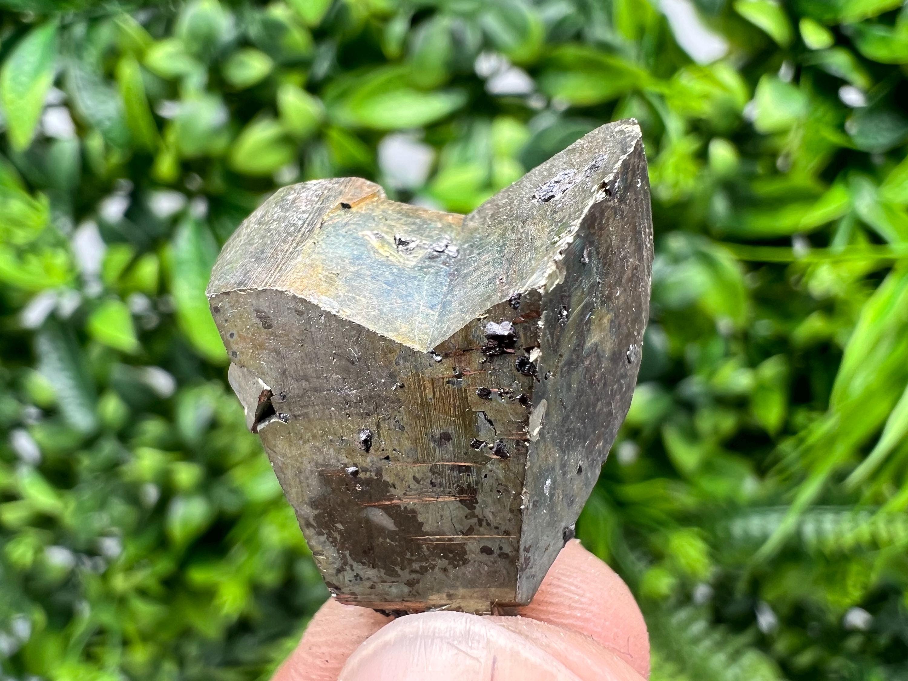 Rare Pyrite Crystal Cluster, Borieva Mine, Bulgaria