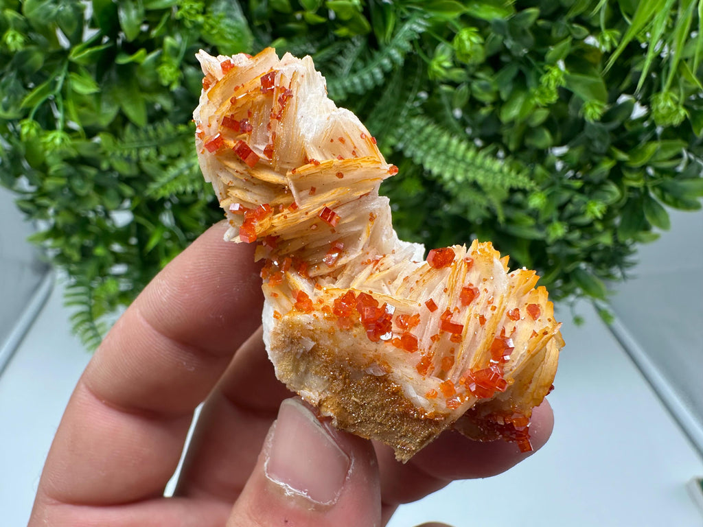 Red Vanadinite on Barite from Marocco,crystal minerals Speciment cluster Vanadinite crystal Vanadinite Geology Vanadinite cluster minerals