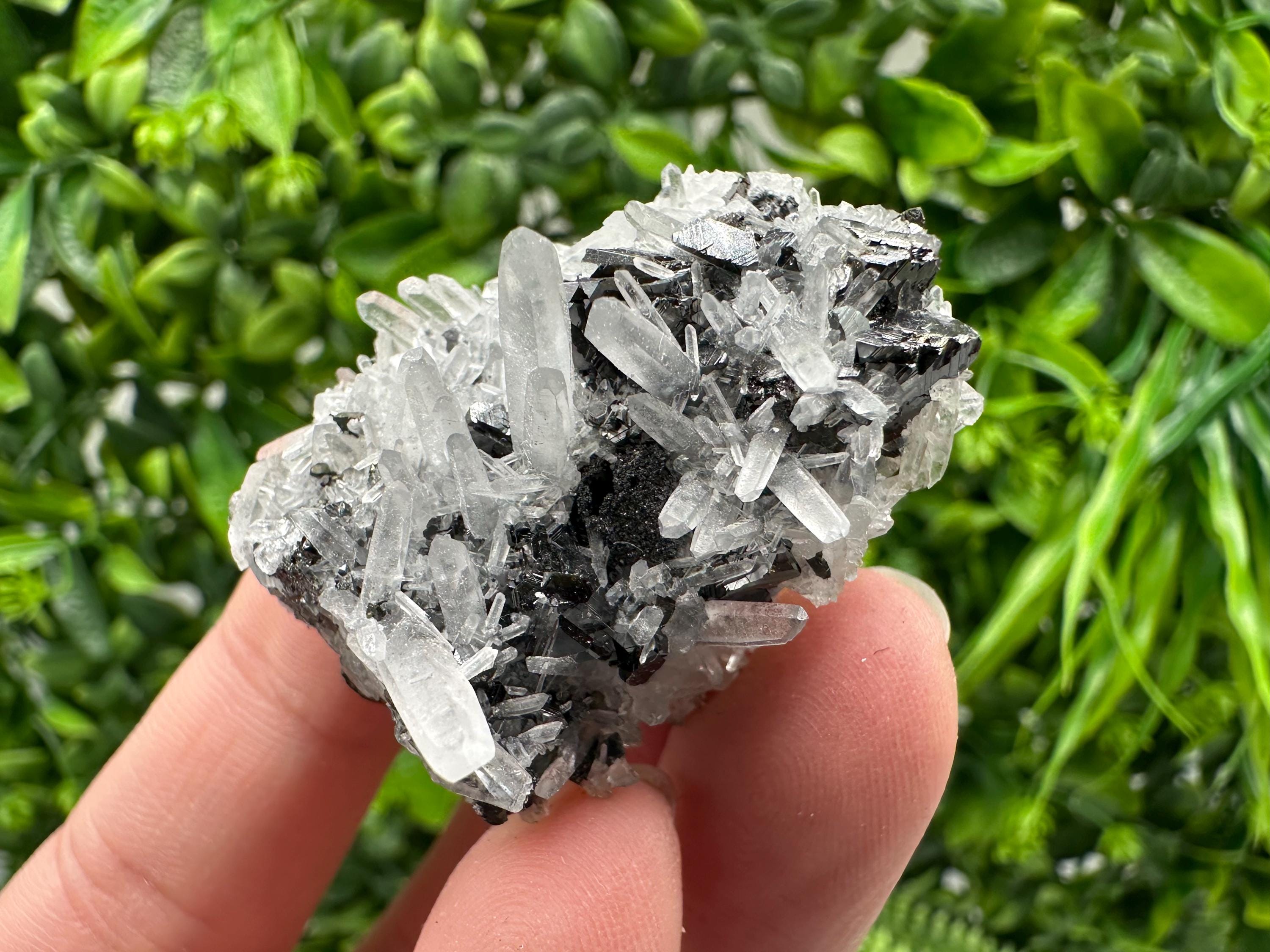 Wonderful Sphalerite Chalcopyrite on  Quartz whit Galena feom 9 th September mine,Bulgaria,natural,collection mineral specimen,gift
