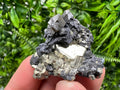Golden Pyrite,Sphalerite from 9th September mine,Madan,Bulgaria,natural,collectible mineral specimen,home decor crystal,Pyrite cluster,