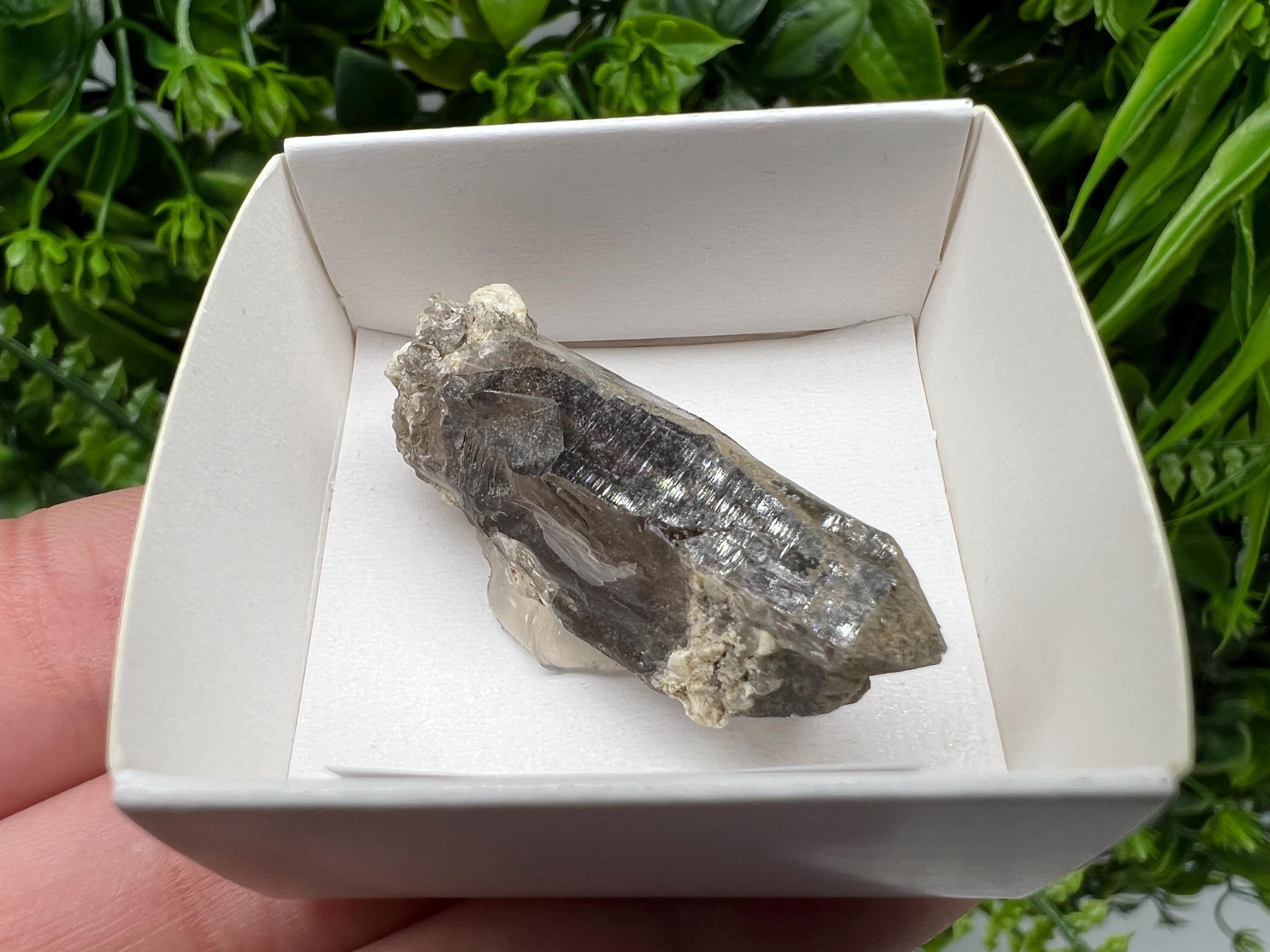 Rare Fedenstock Smoky Quartz Point, Swiss Mineral Specimen (40mm)