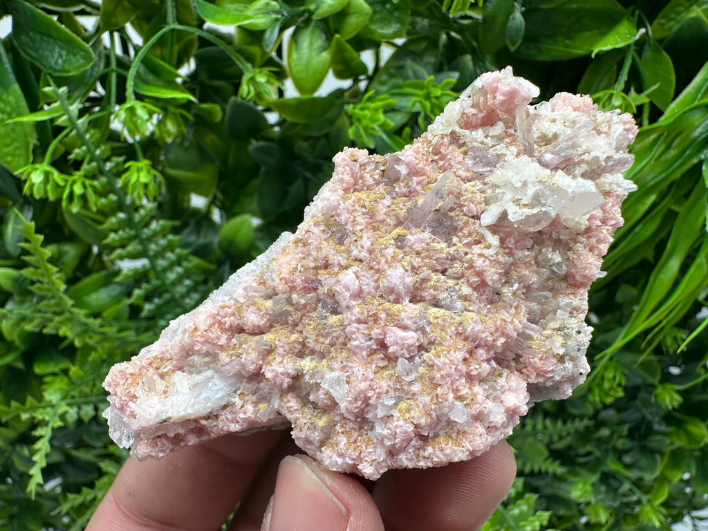 Rhodochrosite on Quartz: Pink Crystal Home Decor, Bulgaria Mineral Souvenir