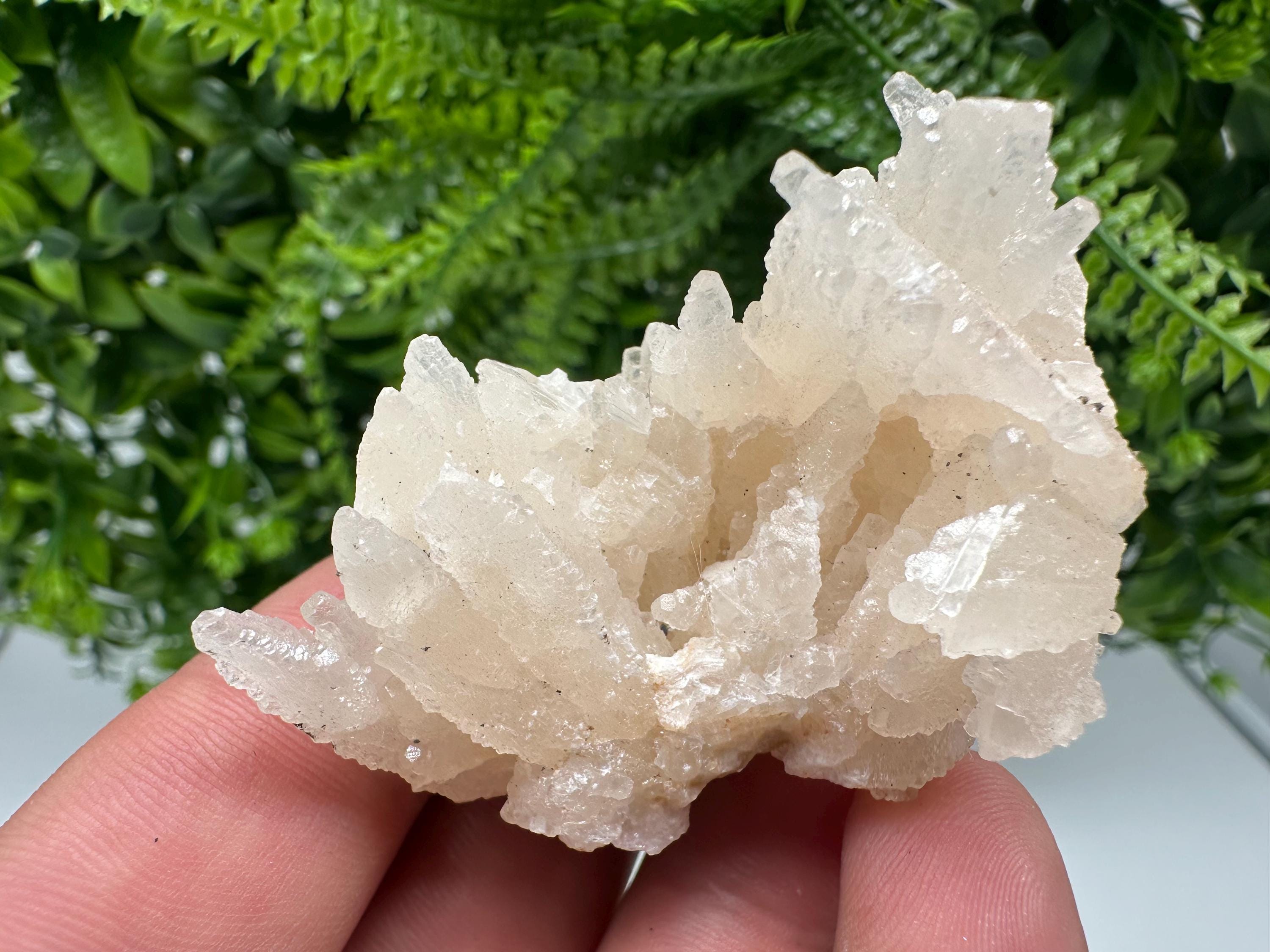 Calcite on Green Quartz: Djurcovo Mine, Bulgaria Crystal