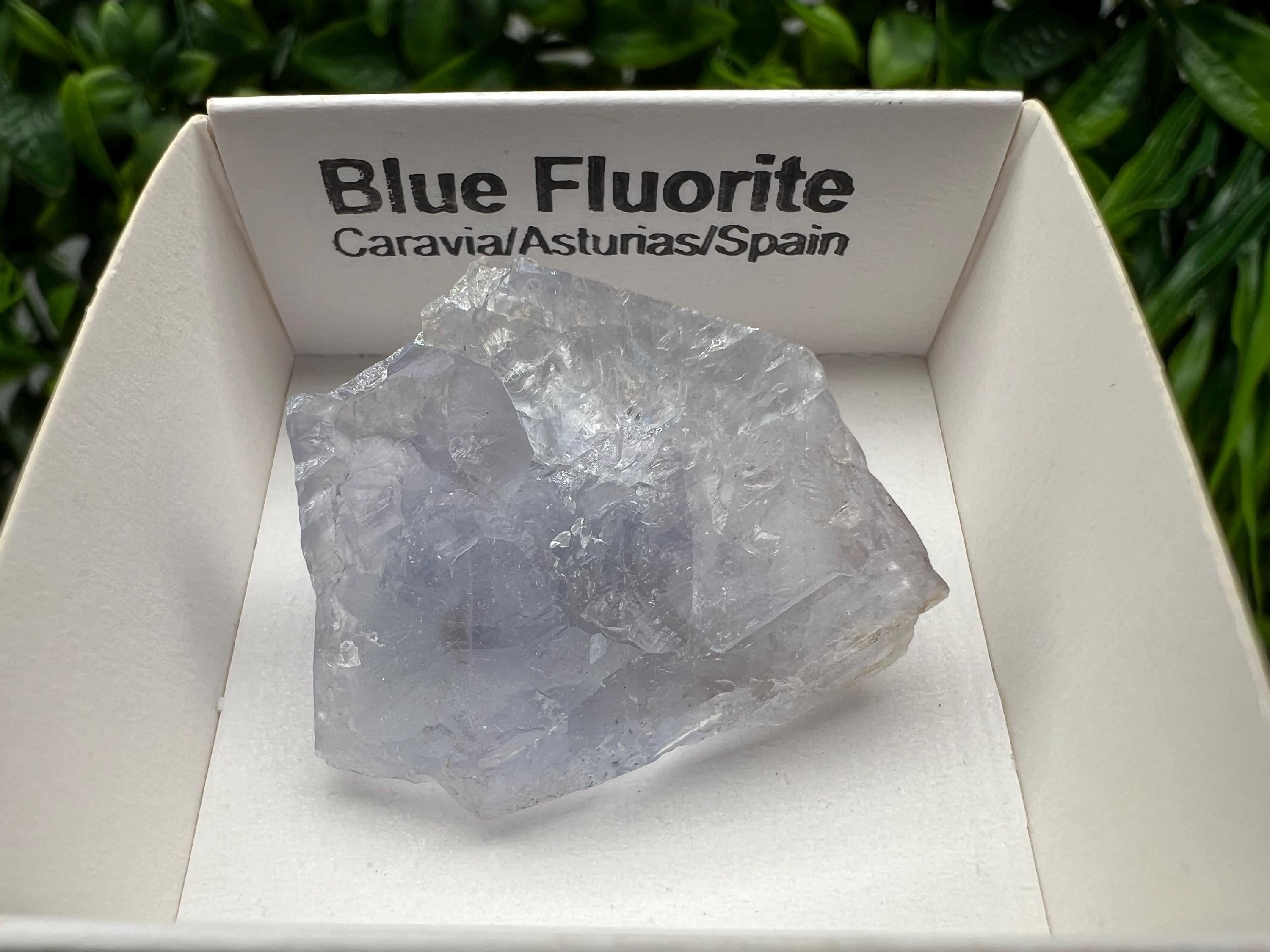 Blue Fluorite Mineral Specimen: Spanish Crystal Collection (3/3 cm