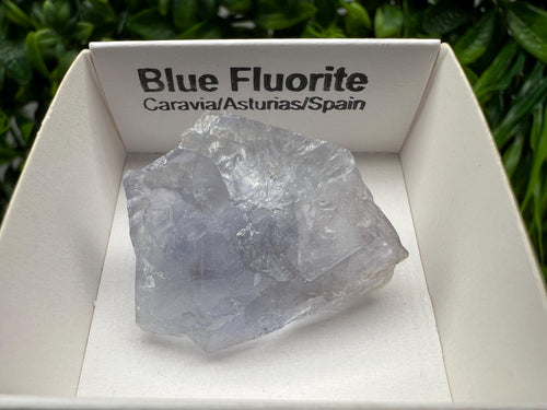 Blue Fluorite Mineral Specimen: Spanish Crystal Collection (3x3 cm)