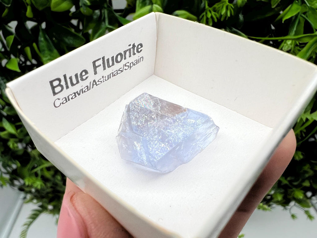 Blue Fluorite from Spain,Mineral Specimen,Blue Fluorite,Fluorite from Spain,Collection, Fluorite Collectors, Crystal Fluorite,collection