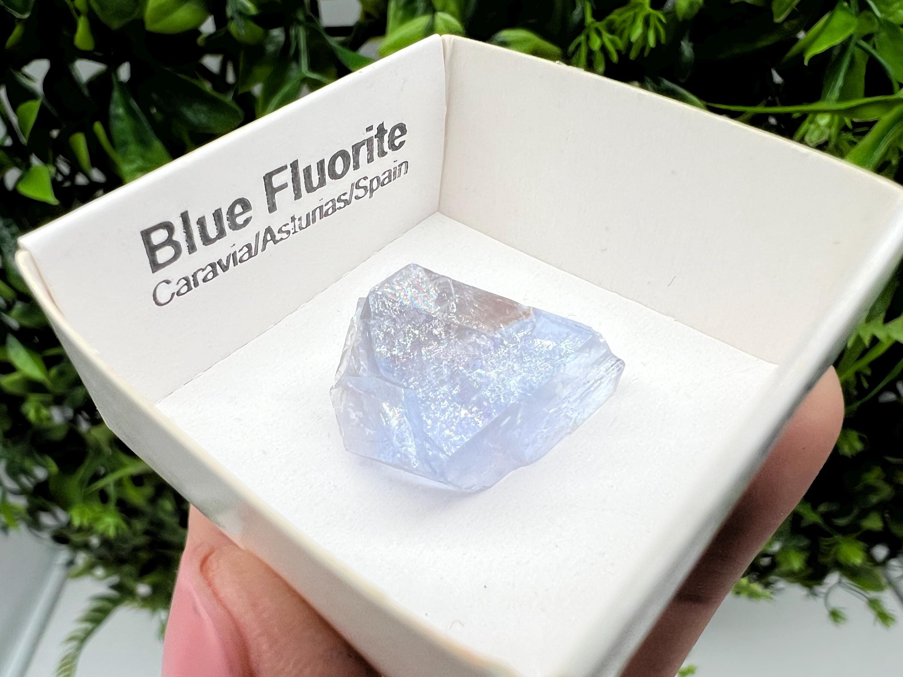 Blue Fluorite from Spain,Mineral Specimen,Blue Fluorite,Fluorite from Spain,Collection, Fluorite Collectors, Crystal Fluorite,collection