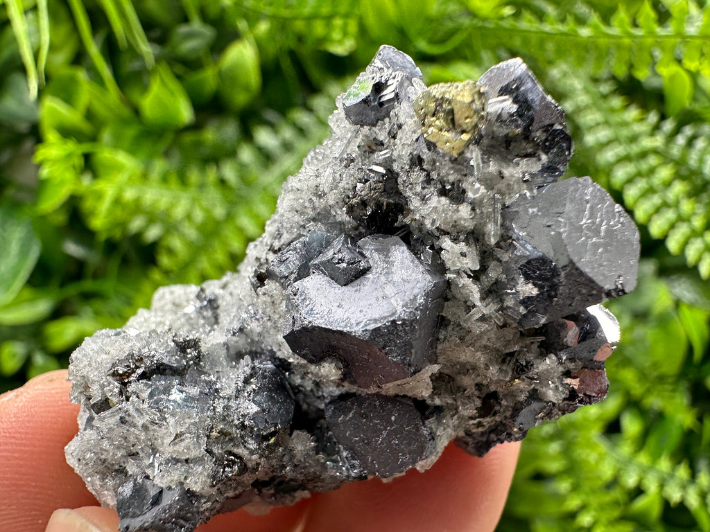 Galena Chalcopyrite on Quartz, Crystal Home Decor, Borieva Mine Bulgaria