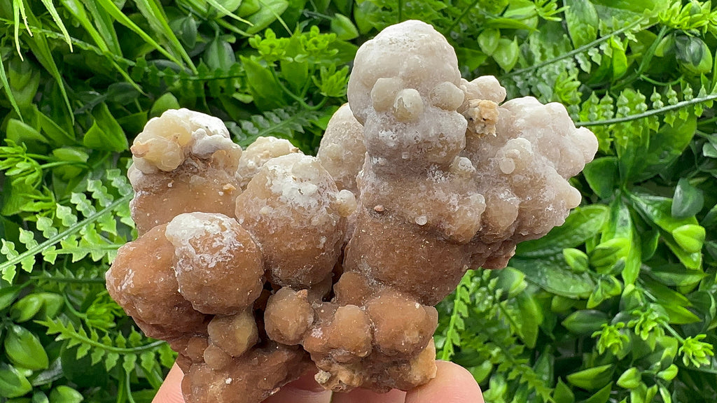 Dimitrovgrad Aragonite Cluster, Bulgaria, Natural Mineral Specimen