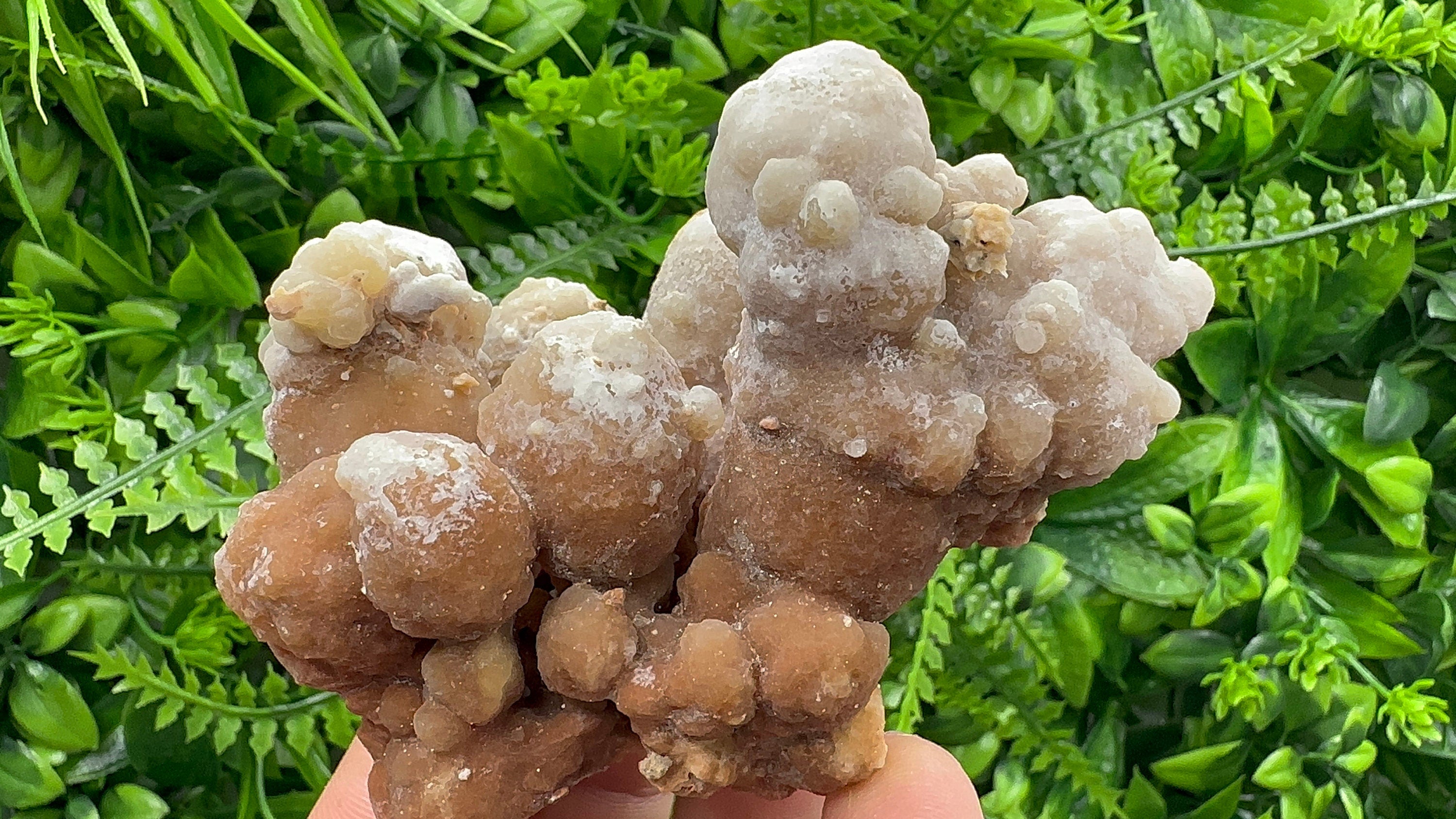 Dimitrovgrad Aragonite Cluster, Bulgaria, Natural Mineral Specimen