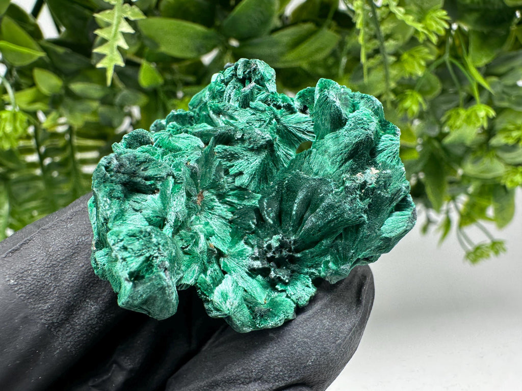Malachite Crystal from Congo,Minerals,Crystals from Congo,Green Malachite, Malachite,Natural Malachite,Malachite Stone,Chakra, Specimens