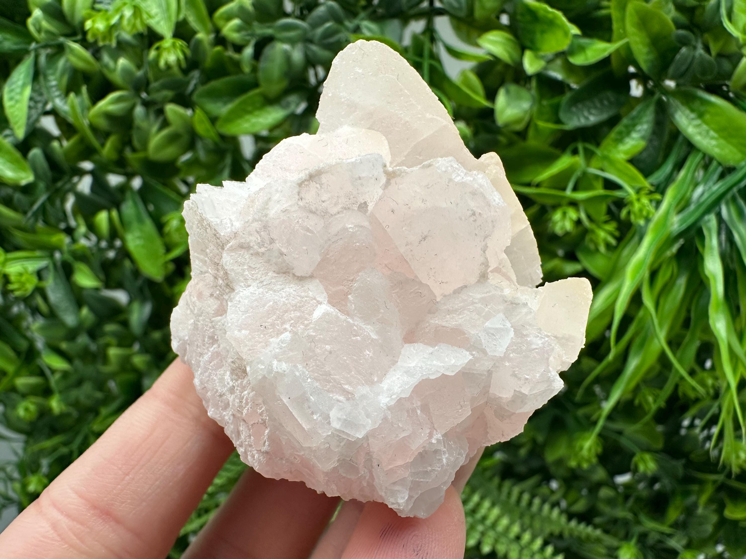 Mangano Calcite with Galena, Borieva Mine, Bulgaria