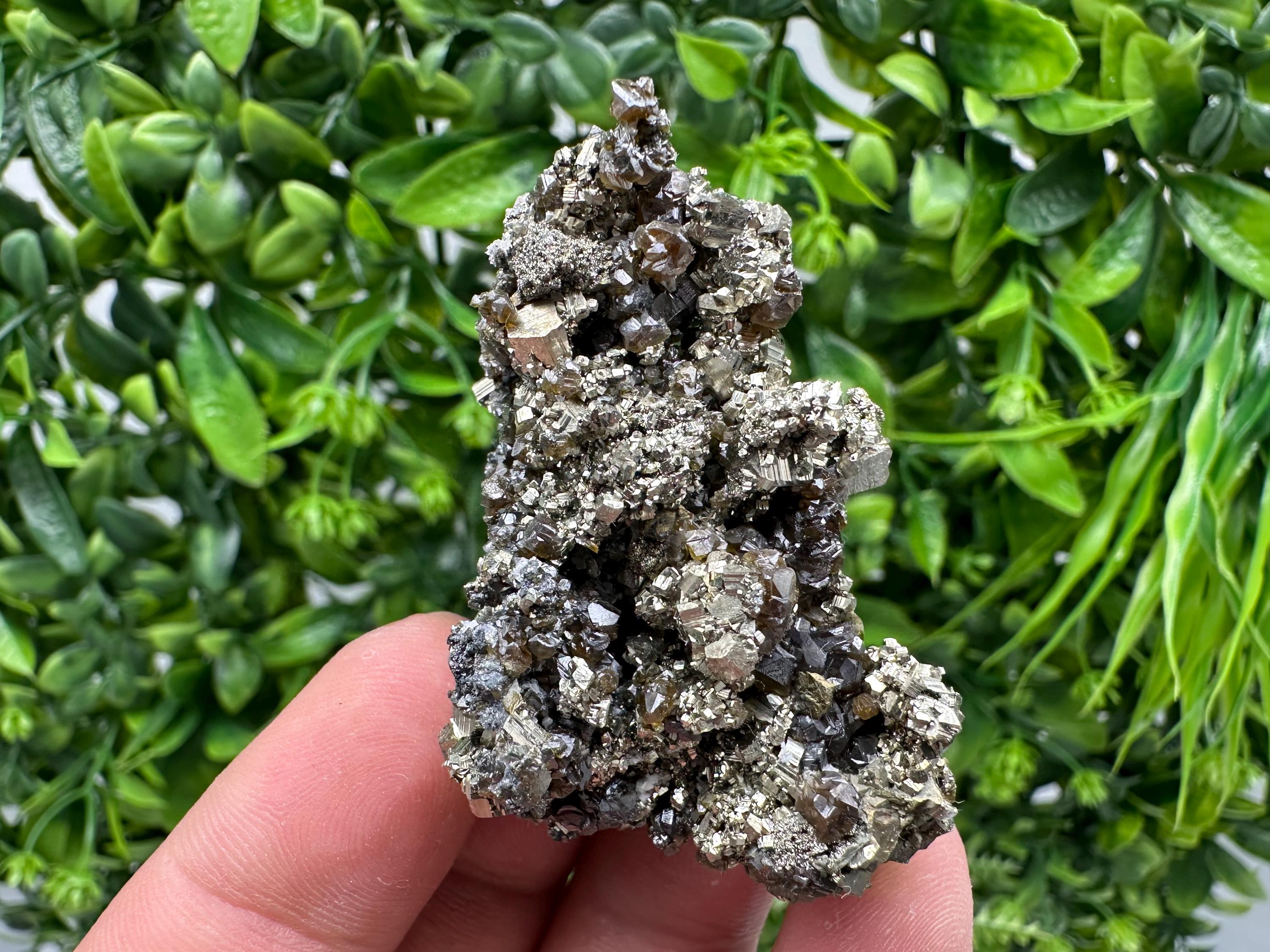 Sphalerite GEM Cleiopfane on Pyrite, Rare Crystal Mineral Stone