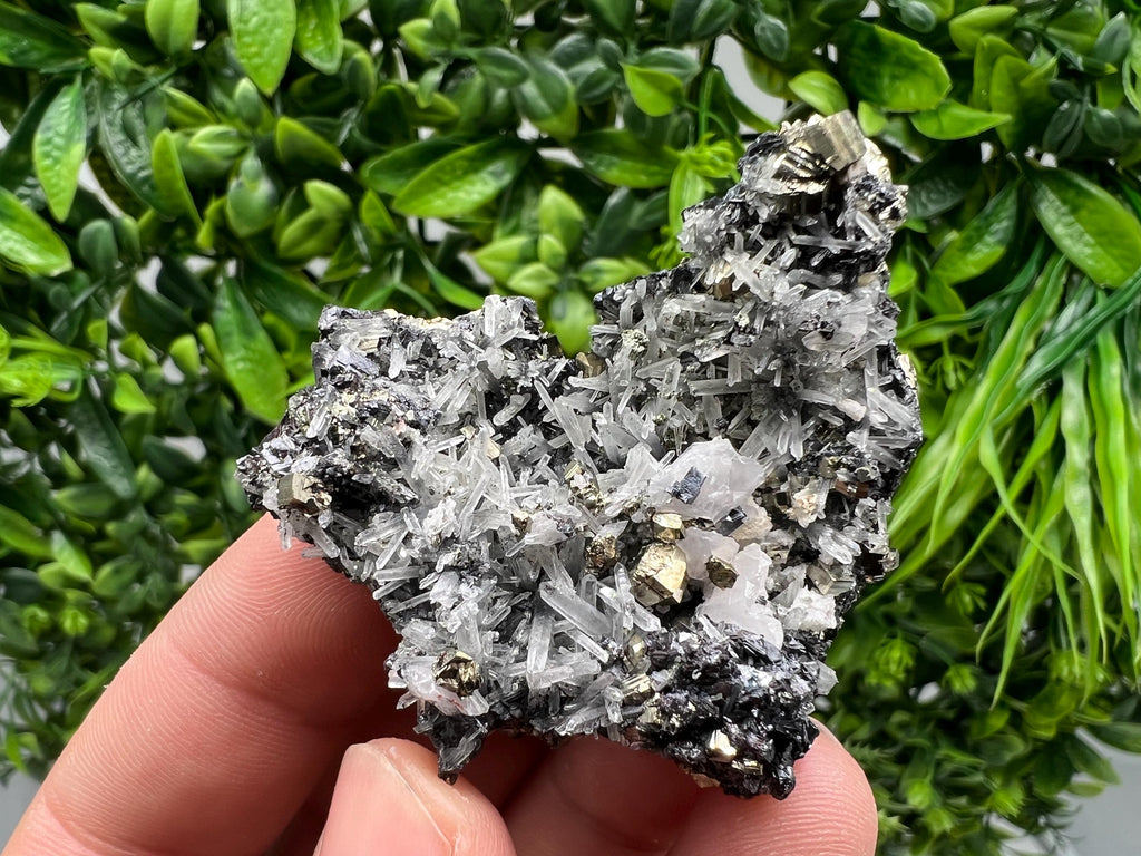 Pyrite on Green Quartz Mineral Specimen, Borieva Mine Bulgaria