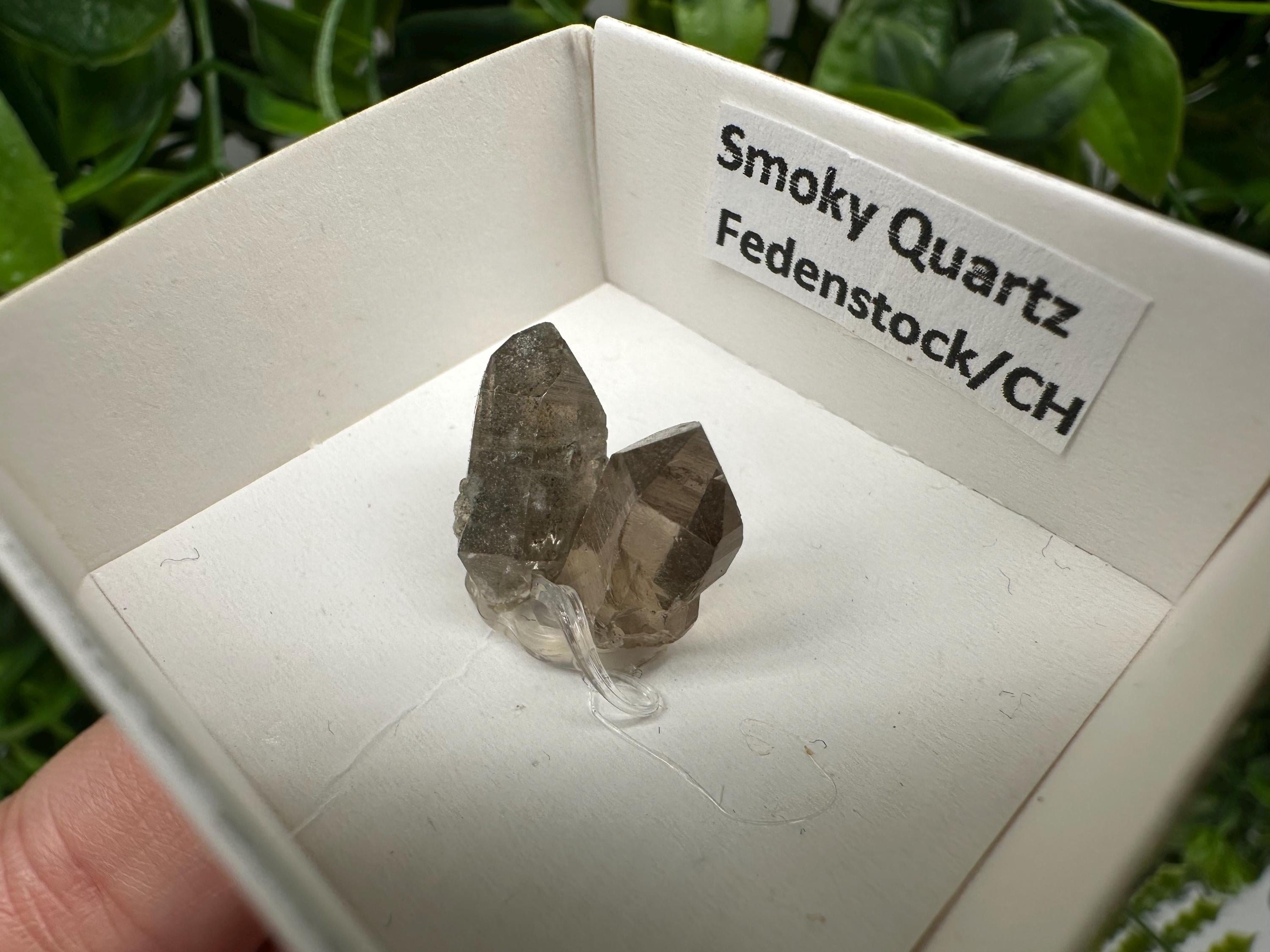 Rare Fedenstock Smoky Quartz Mineral Specimen (17 MM)