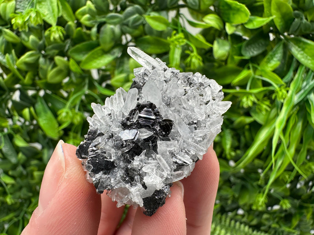 Wonderful Sphalerite Chalcopyrite on  Quartz whit Galena feom 9 th September mine,Bulgaria,natural,collection mineral specimen,gift