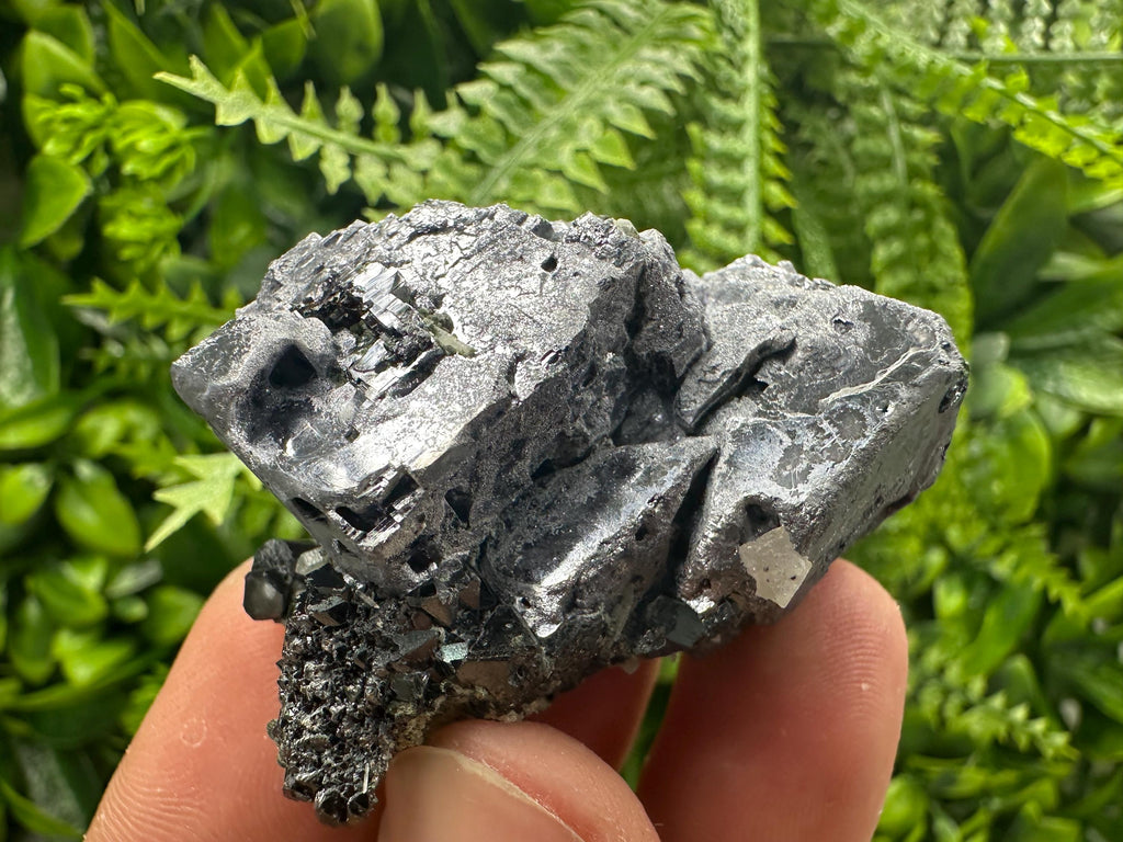 Galena with Black Sphalerite, Natural Minerals Souvenir from Borieva Bulgaria