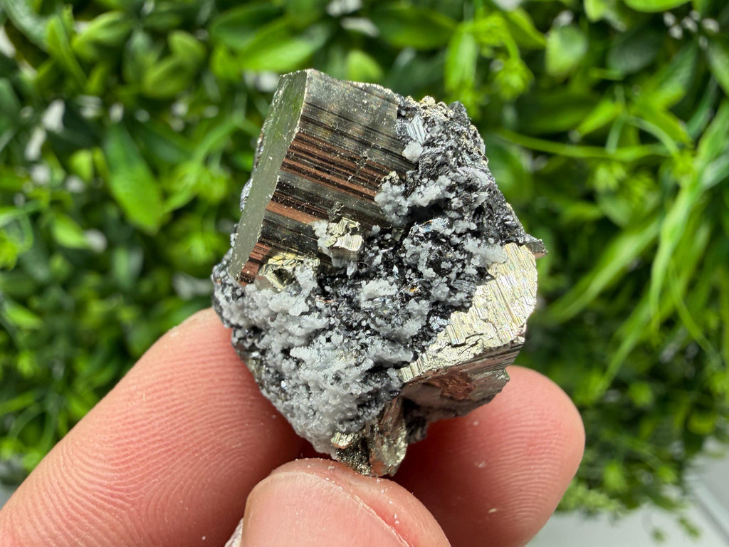 Pyrite Sphalerite Quartz  Mineral Specimen, Krushev dol Mine