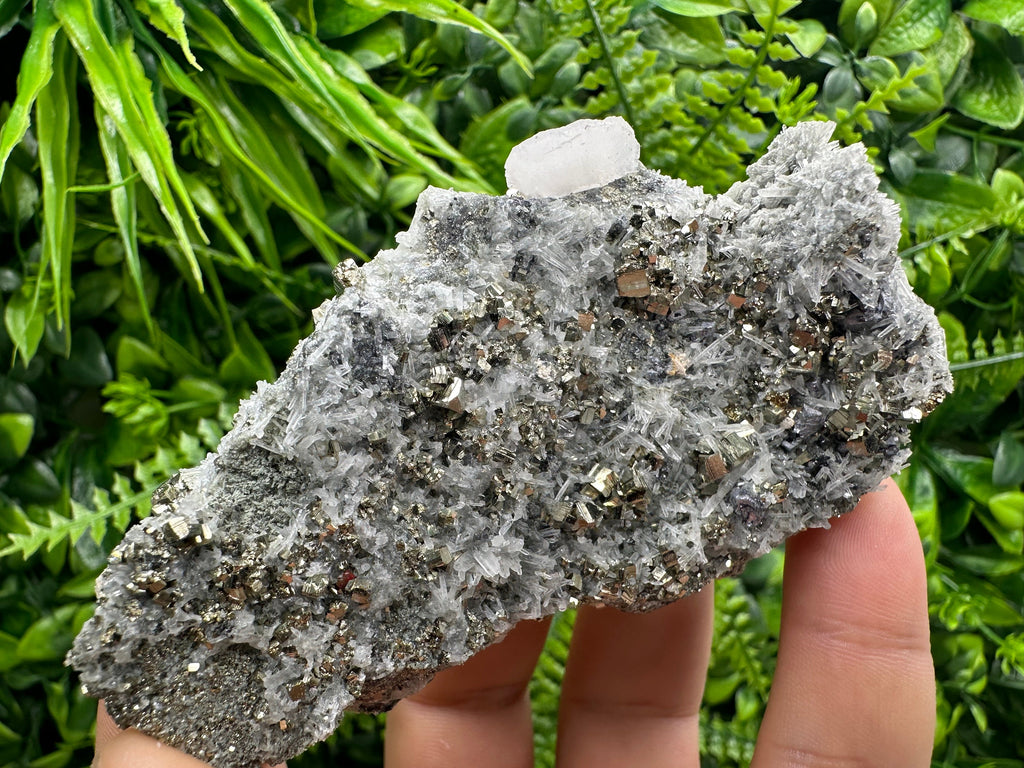Pyrite on Quartz Specimen: Borieva Mine Bulgaria, Home Decor