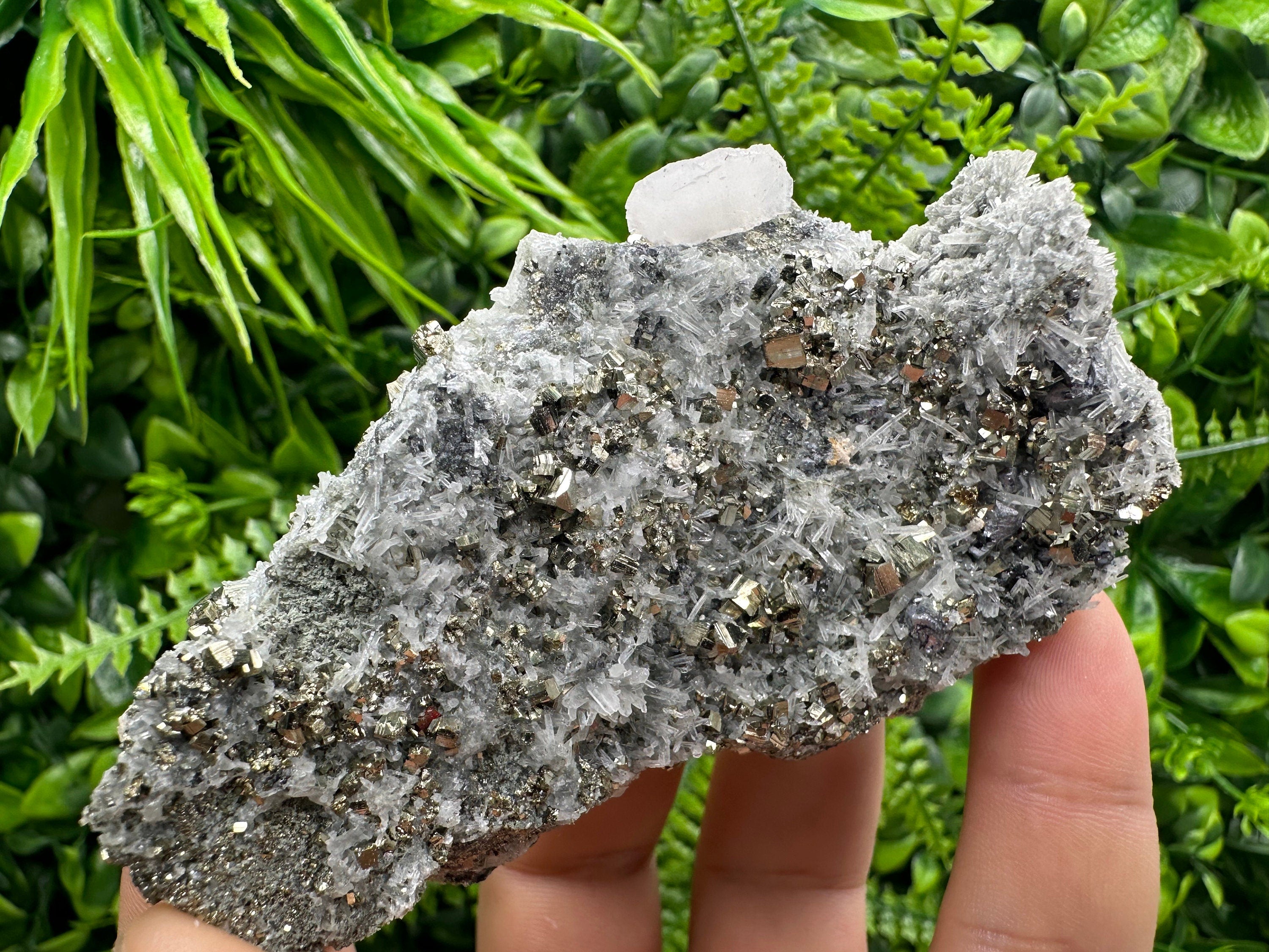 Pyrite on Quartz Specimen: Borieva Mine Bulgaria, Home Decor