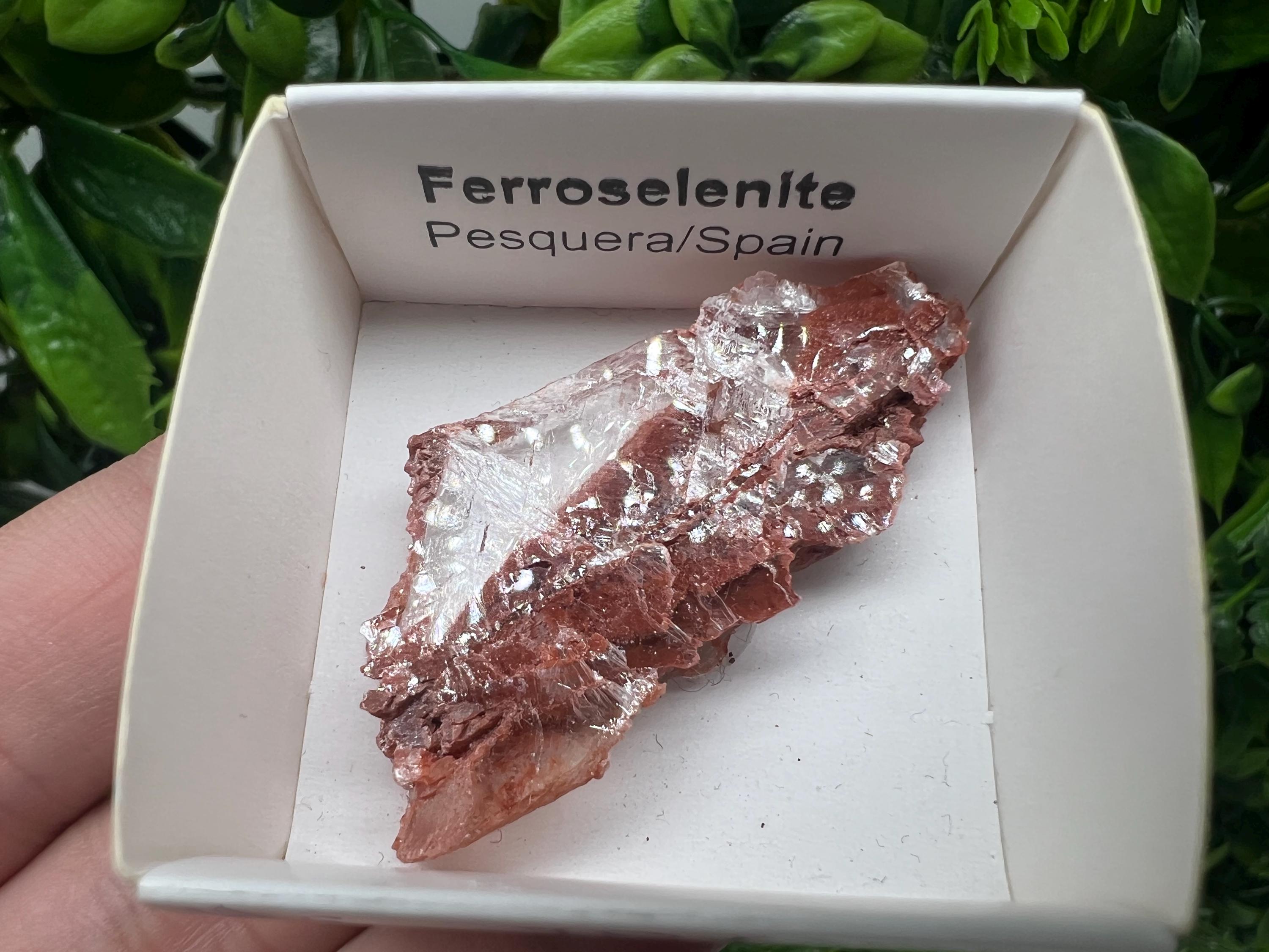 Rare Ferroselenite Crystal Specimen: La Pesquera, Spain (4.5/2.5 cm)
