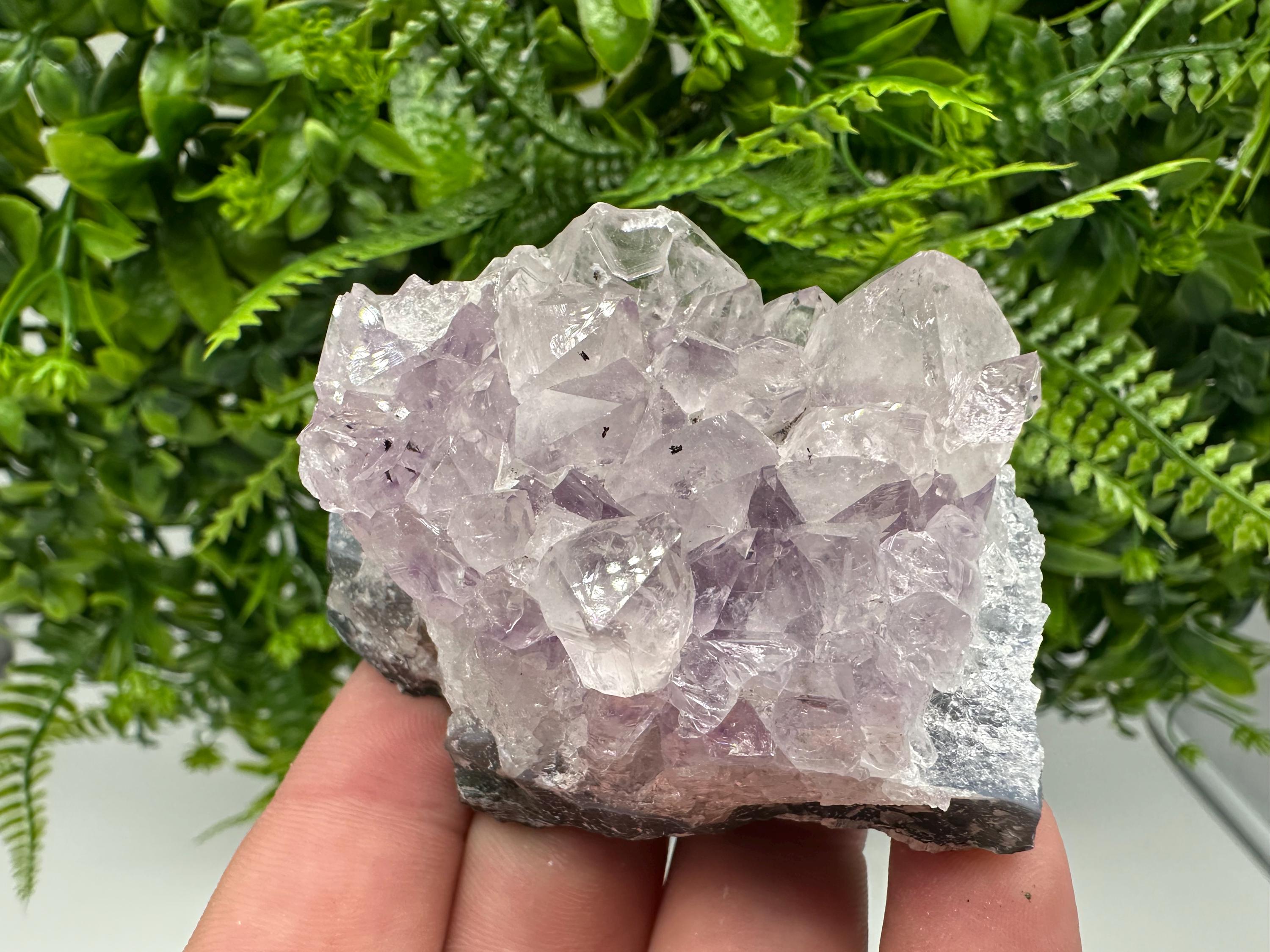 Brazilian Amethyst Cluster, Purple Quartz Crystal Specimen