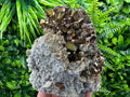 Pyrite on Quartz and Calcite: Natural Mineral Collection, Borieva Bulgaria