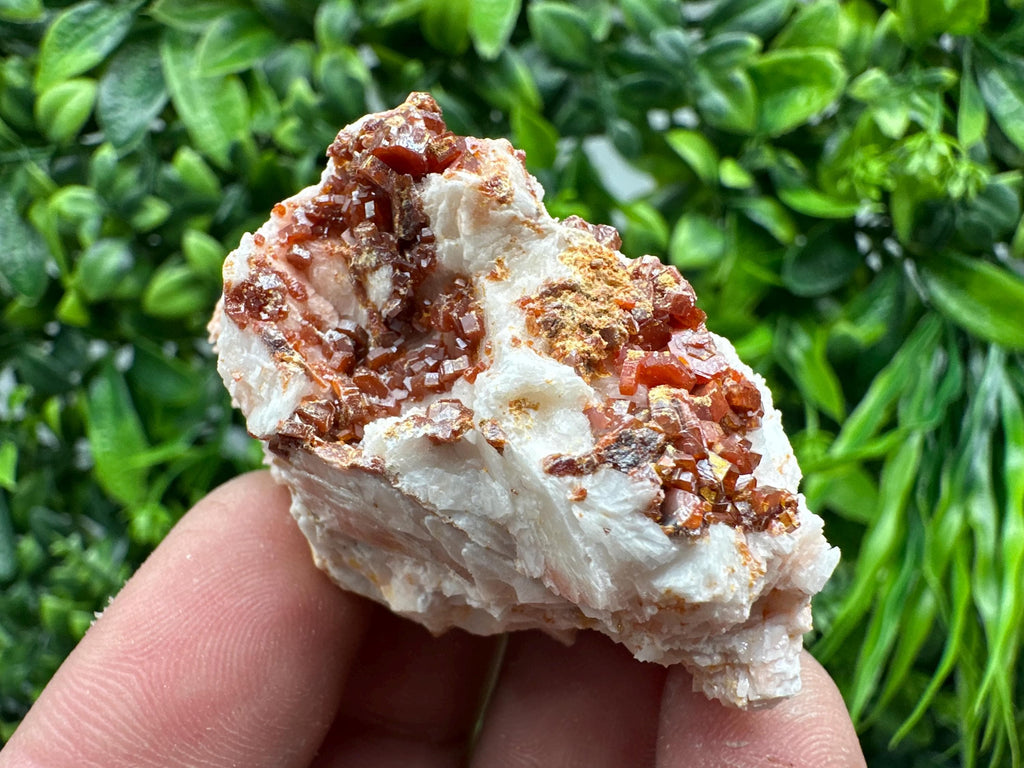 Red Vanadinite on Barite, Morocco Crystal Cluster