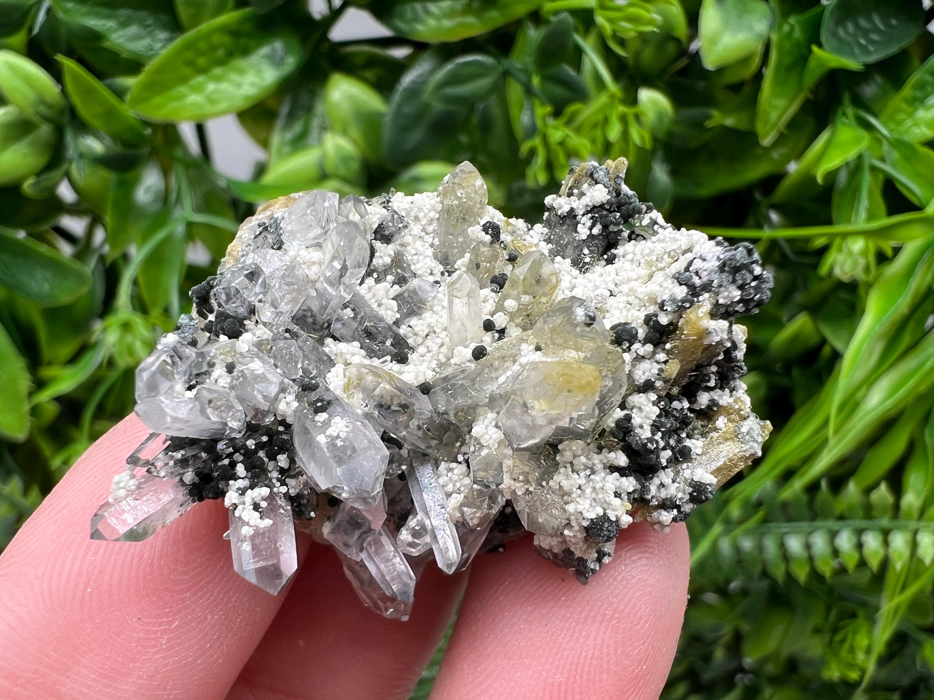Chlorite Epidote Quartz Specimen, Borieva Mine, Bulgaria