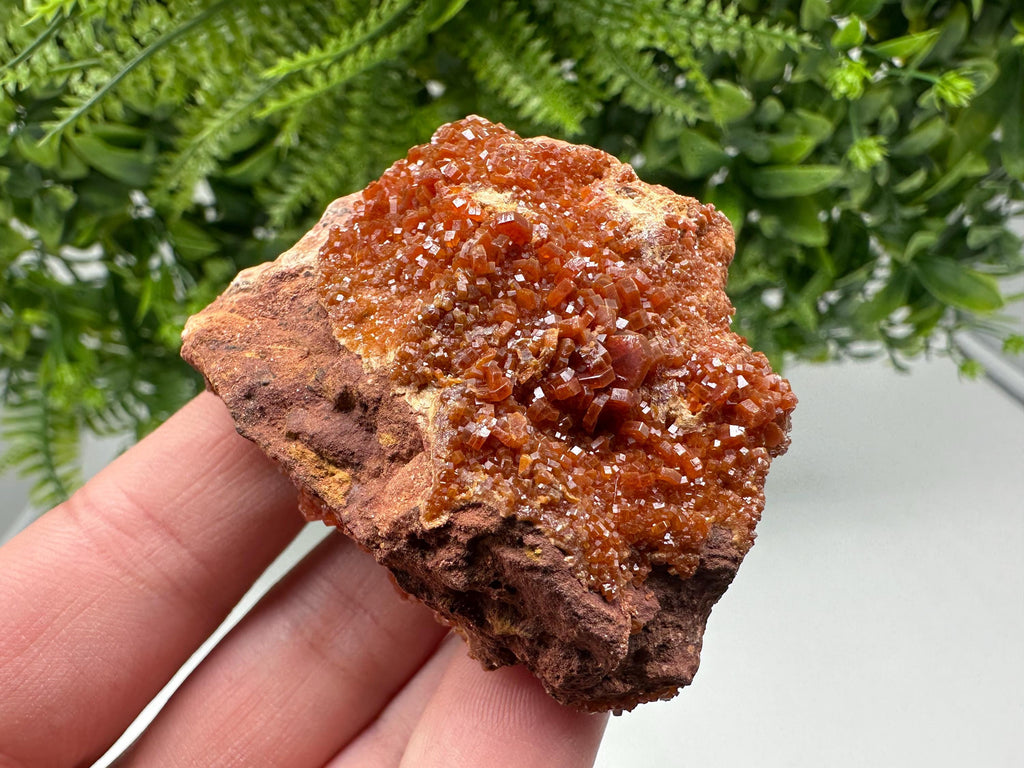 Red Vanadinite on Matrix from Marocco,crystal minerals Speciment cluster Vanadinite crystal Vanadinite Geology Vanadinite cluster minerals