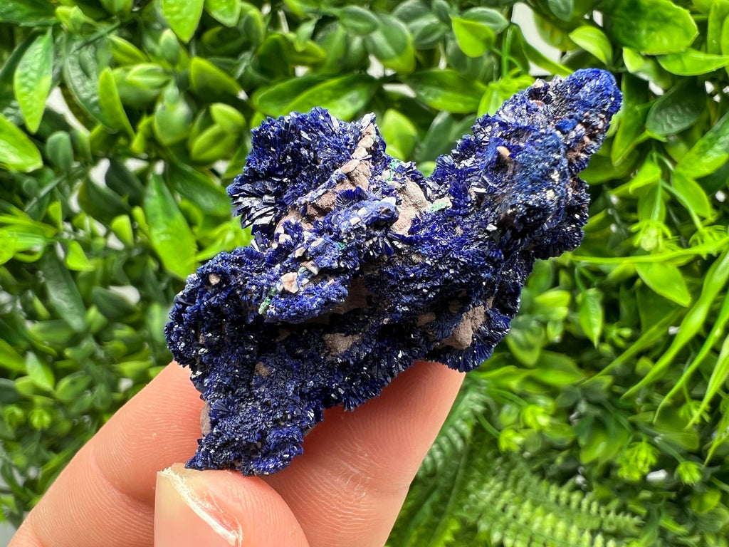 Crystallized Azurite-Kerrouchen,Morocco-Blue Azurite Specimen-High Quality Blue Azurite-Azurite Mineral Specimen, gemmy,lustrous of Azurite