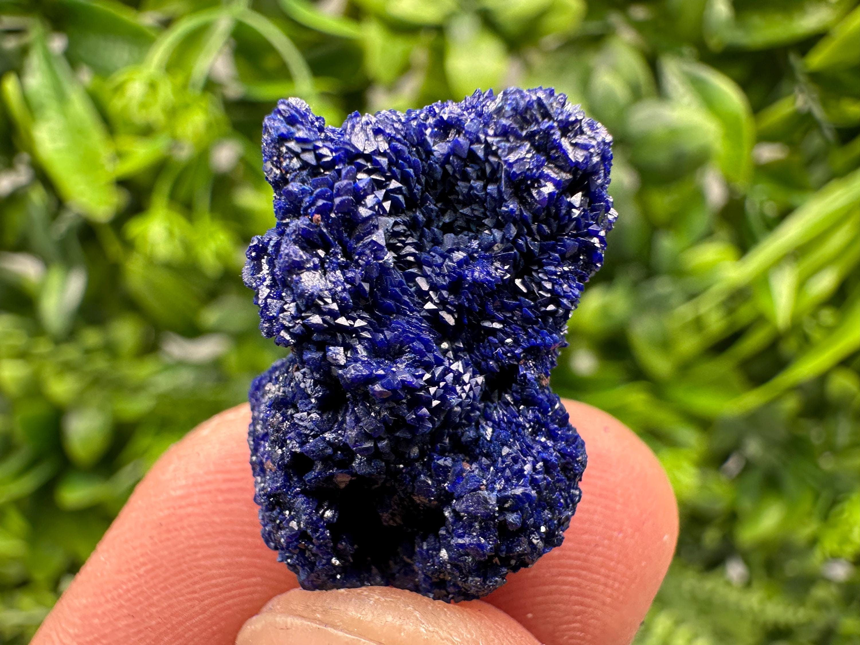 Crystallized Azurite-Kerrouchen,Morocco-Blue Azurite Specimen-High Quality Blue Azurite-Azurite Mineral Specimen, gemmy,lustrous of Azurite
