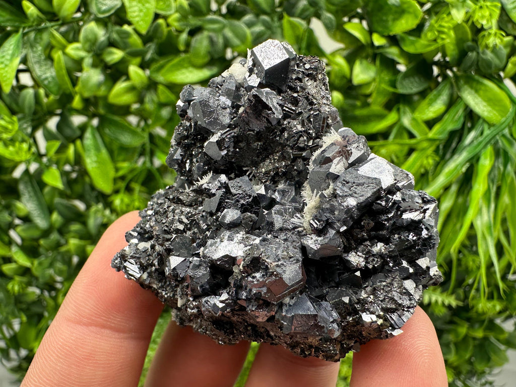 Aesthetic Sphalerite,Galena whit Chlorite from Borieva mine Madan Bulgaria natural minerals souvenir crystal gift home decor stone rock