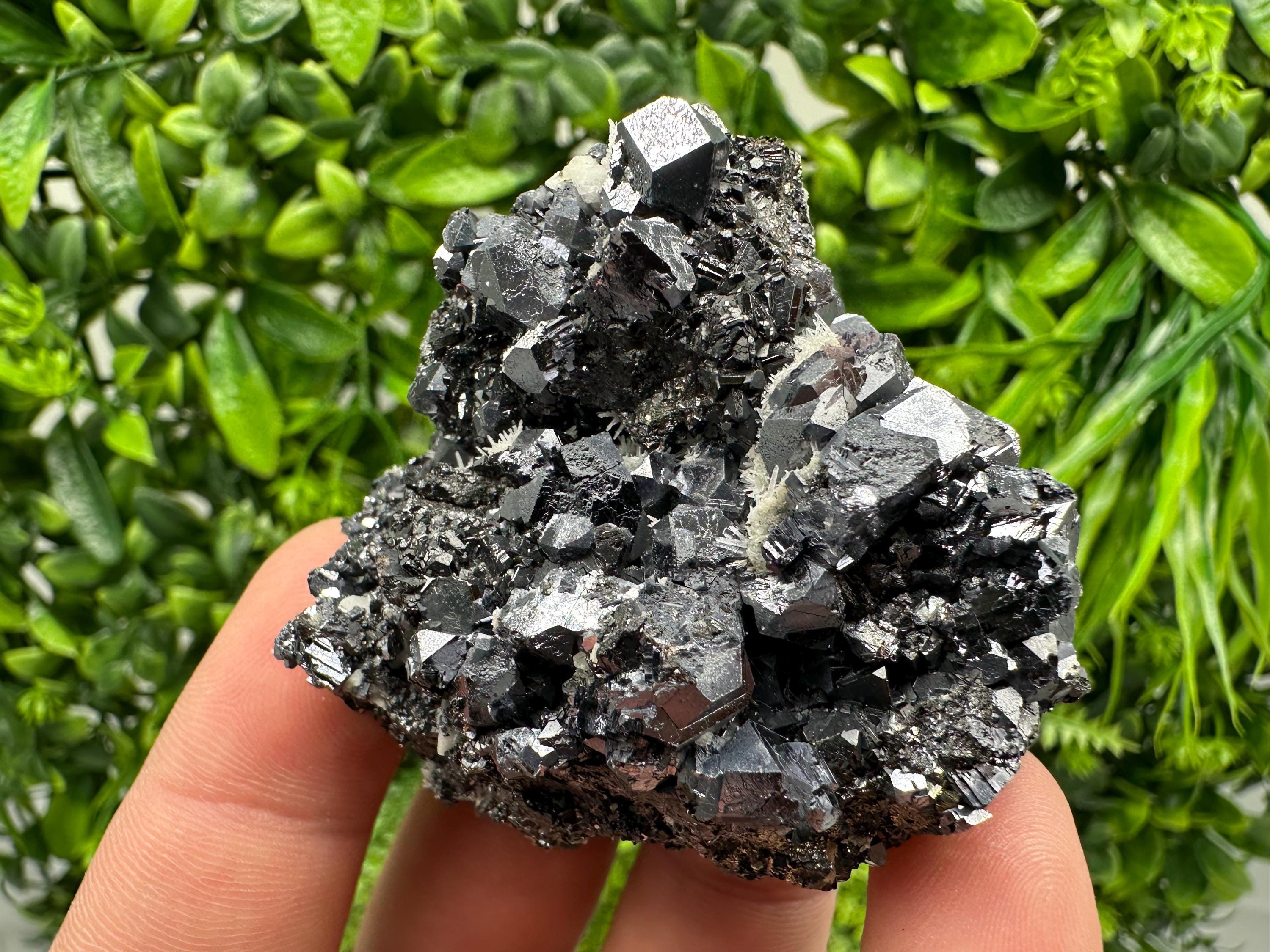 Aesthetic Sphalerite,Galena whit Chlorite from Borieva mine Madan Bulgaria natural minerals souvenir crystal gift home decor stone rock