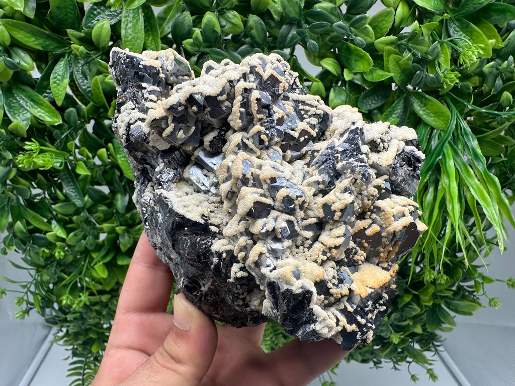 Skeletal Galena with Dolomite: Krushev Dol Mine, Bulgaria