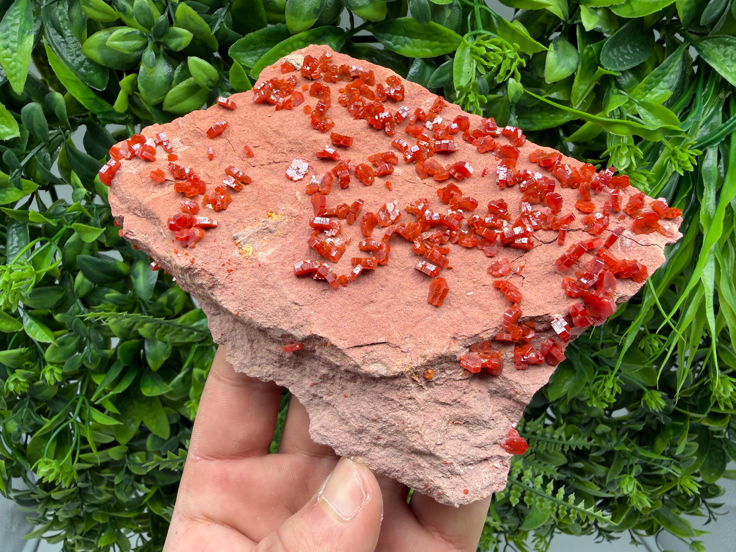 Red Vanadinite on Matrix from Marocco,crystal minerals Speciment cluster Vanadinite crystal Vanadinite Geology Vanadinite cluster minerals