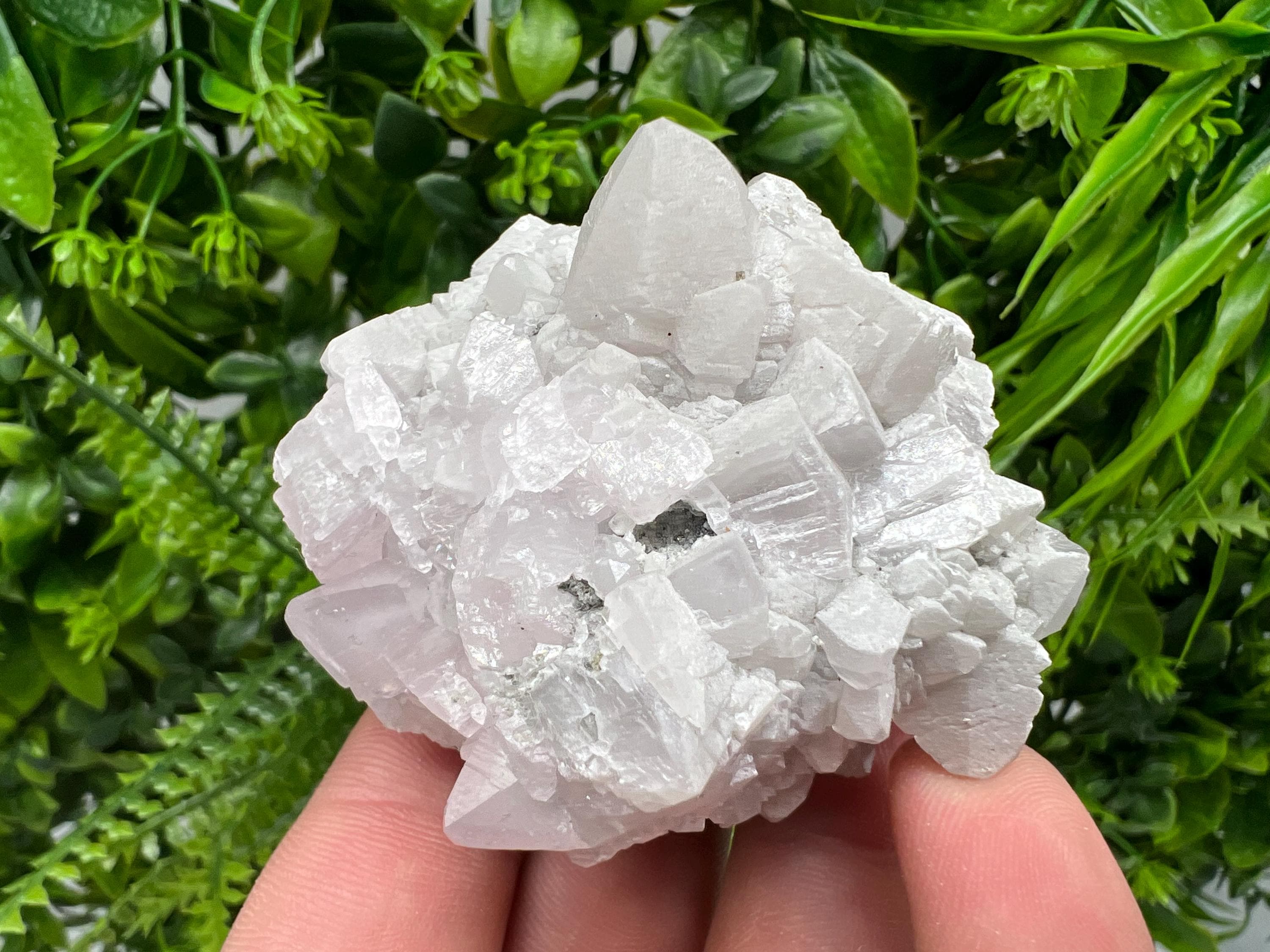 UV Reactive Mangano Calcite Crystal: Androvo Mine, Bulgaria