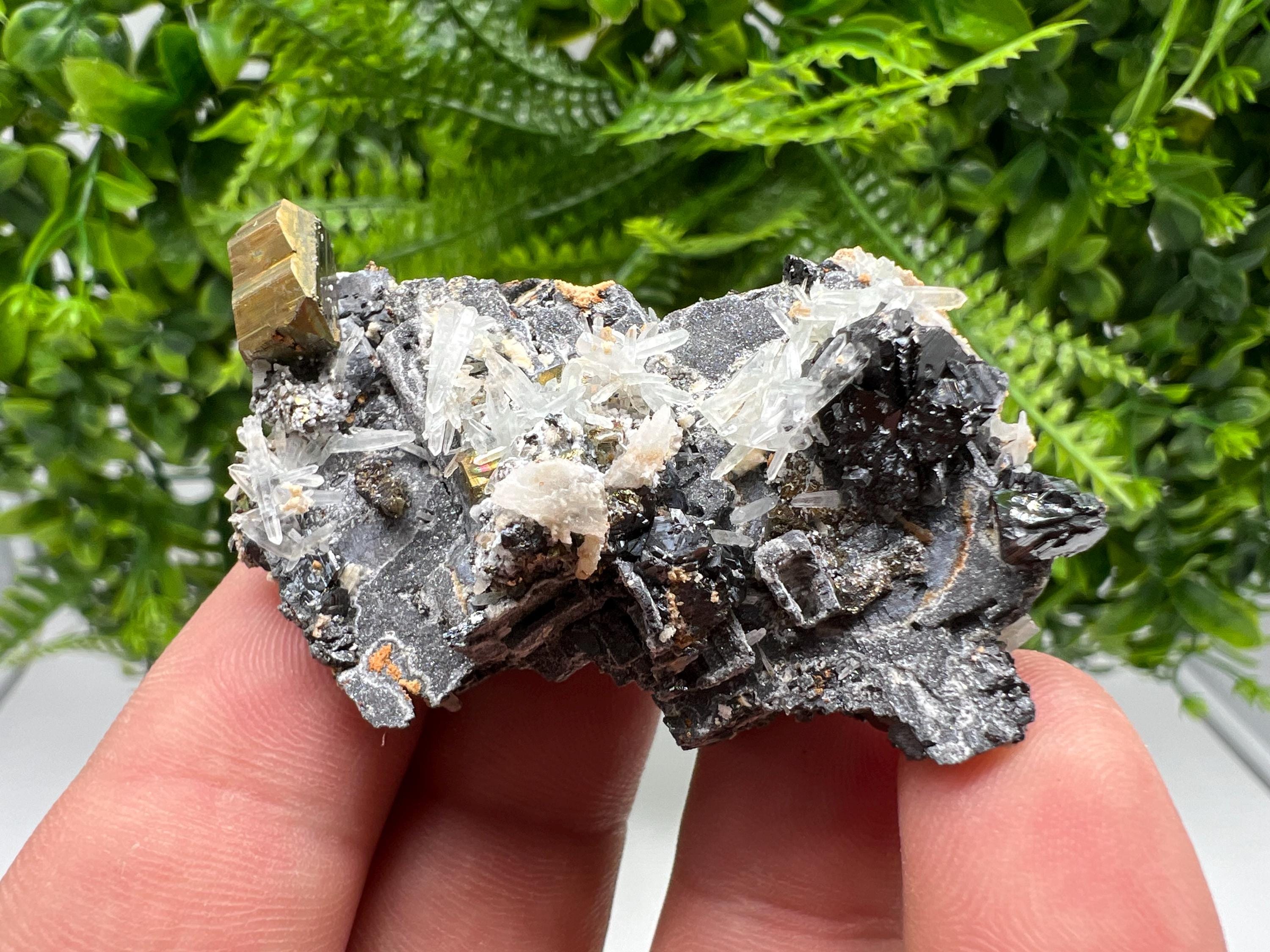 Skeleral Galena, Pyrite, Quartz Mineral Specimen, Madan Bulgaria