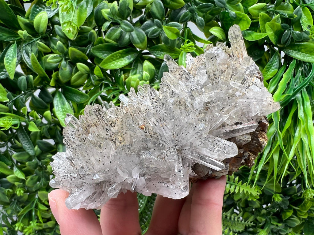 Quartz whit Brown Rhodochrosite from Djurcovo mine,Bulgaria,Quartz,Rhodochrosite cluster,natural mineral,collection crystal,mineral specimen
