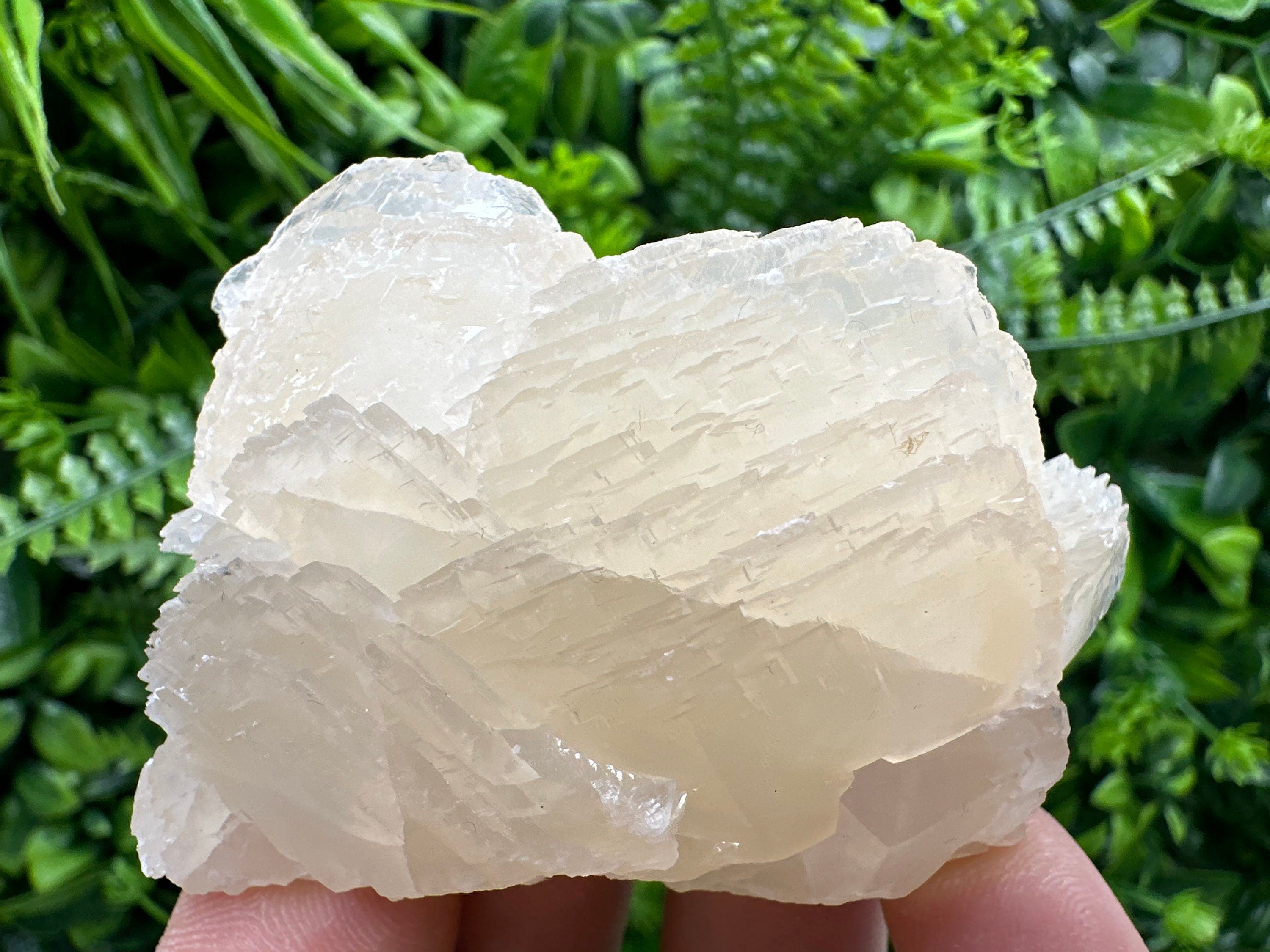 Mangano Calcite with Galena, Rare Mineral Specimen, Borieva Mine