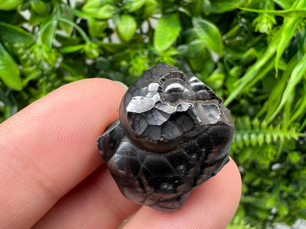 Botryoidal Black Hematite Specimen: Moroccan Crystal, Chakra Reiki