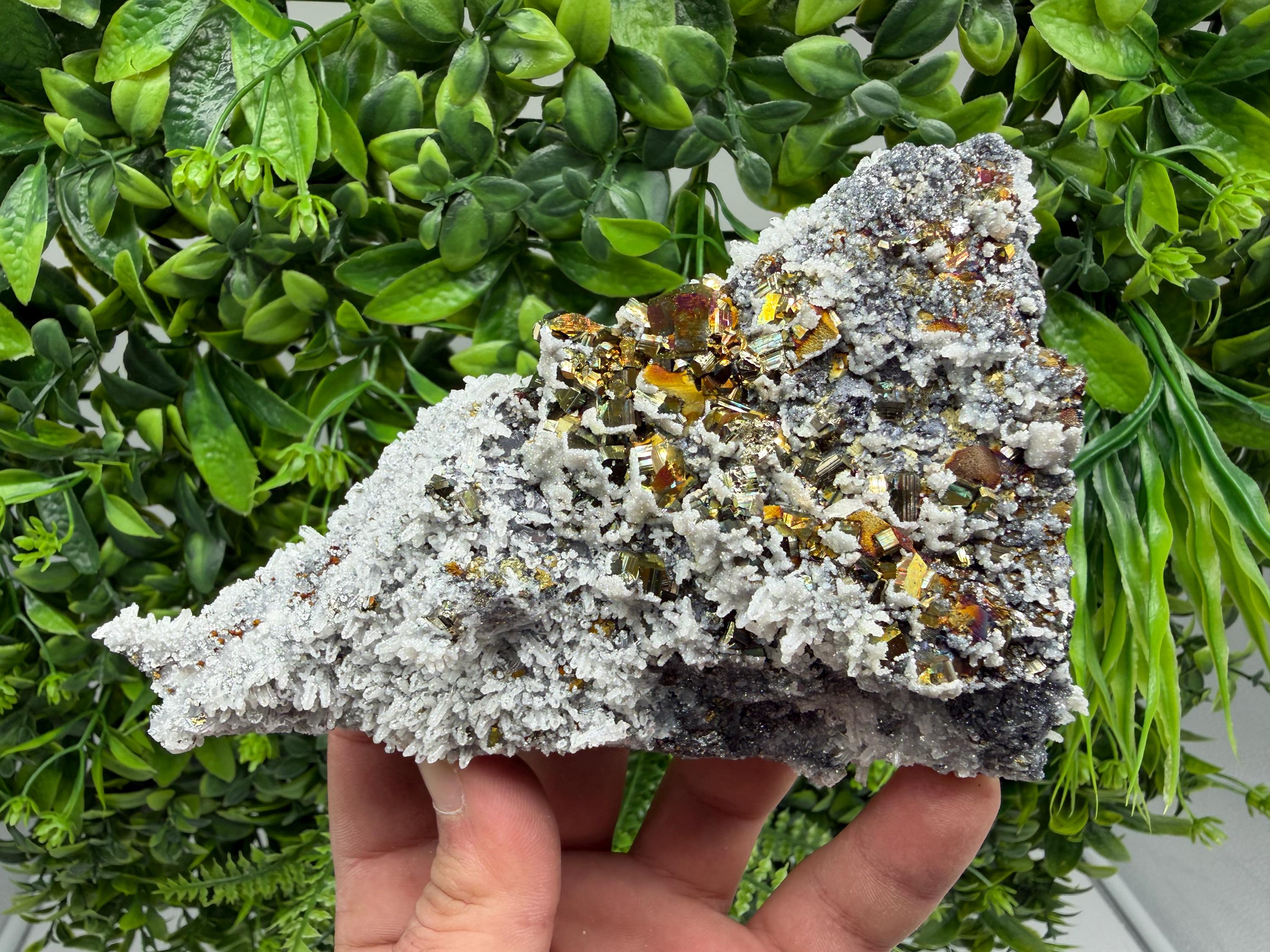 Pyrite Sphalerite Quartz  Mineral Specimen, Krushev dol Mine