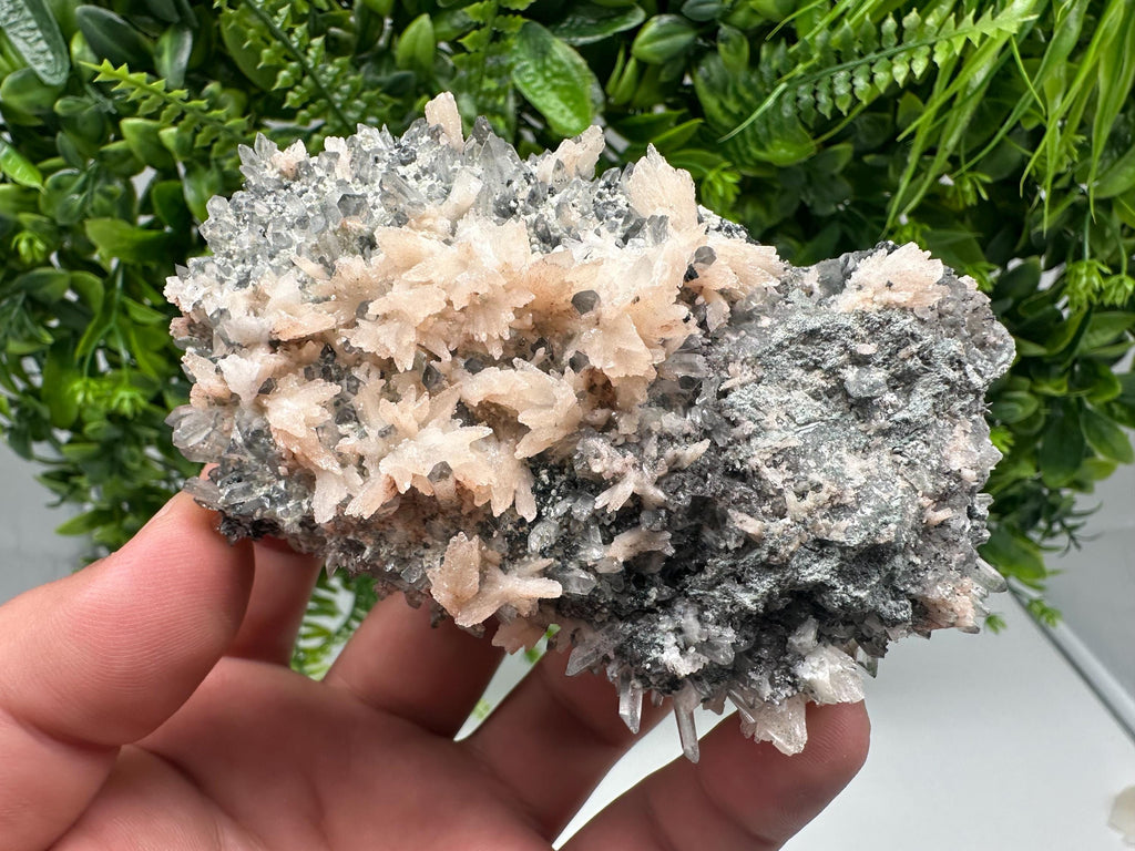 Calcite on Green Quartz: Djurcovo Mine, Bulgaria Crystal