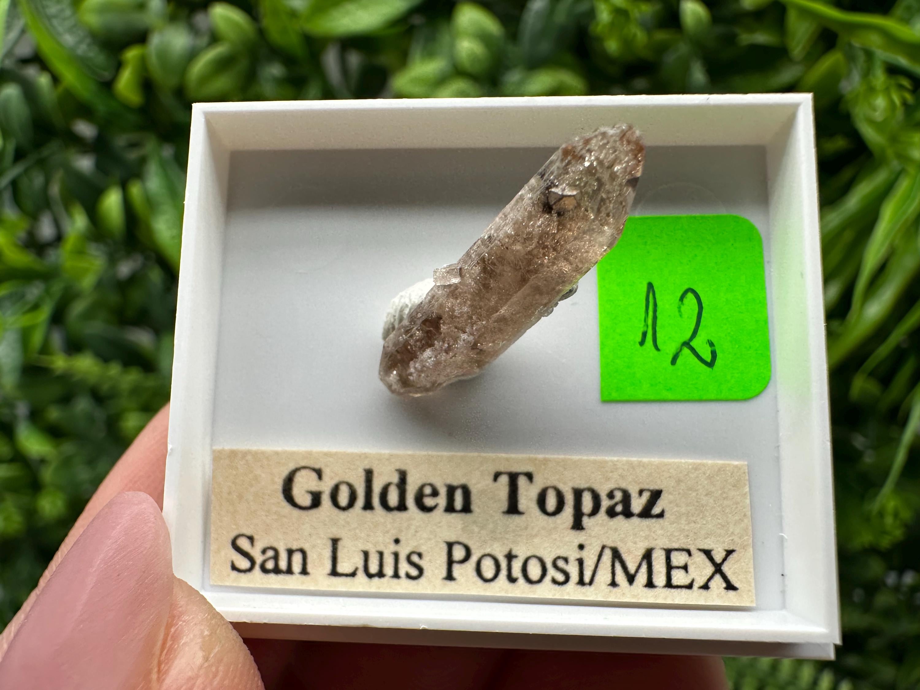 Golden Topaz Crystal, Mineral Specimen from Mexico